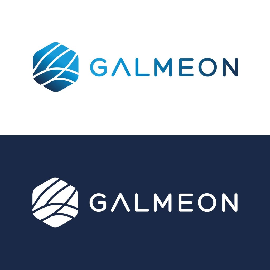 logo créé pour galmeon