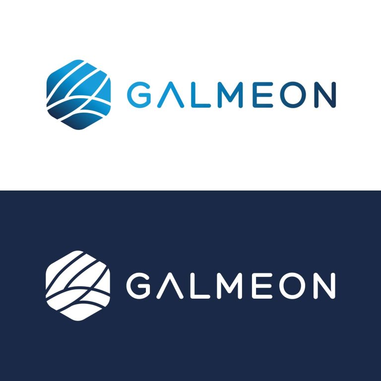logo créé pour galmeon
